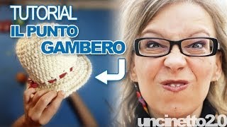 Tutorial uncinetto  Il punto gambero [upl. by Kuebbing]