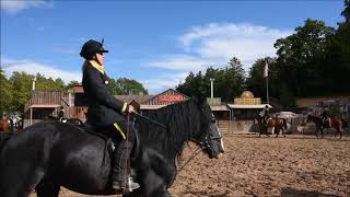 Reitershow zum Westernfest Mönsheim 2017  Die Reiter der Kavallerie [upl. by Redford]