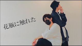 【Matricaria】花瓶に触れた【踊ってみた】 [upl. by Gridley]