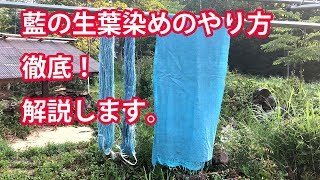 藍の葉染はとっても簡単！徹底解説 [upl. by Linea]