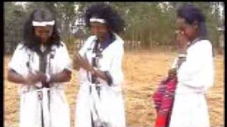 Ethiopian Ahmaric gonder gojam song music [upl. by Helfant]