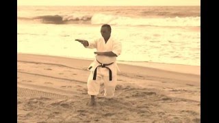 Matsumura no Passai of Sensei Bud Morgan [upl. by Acinad]