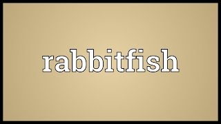 Rabbitfish Meaning [upl. by Meridith]