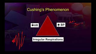 TBI Pathophysiology for Paramedic [upl. by Haneen]