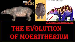 the evolution of Moeritherium [upl. by Nasia]