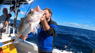 Red Grouper Season Opening Day New Years Day 2024 [upl. by Snehpets]