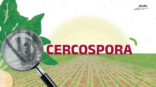 Control Cercospora like an Expert [upl. by Karlens902]