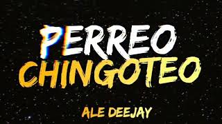 🔥PERREO CHINGOTEO🔥  Ale Deejay [upl. by Enimisaj81]