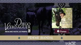 Diego Verdaguer  Pídeme Audio Oficial [upl. by Aynatan782]