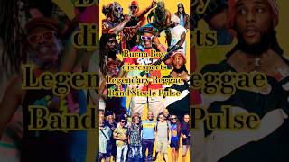 Burna Boy Disrespects Steel Pulse at Reggae Fest in Germany reggae steelepulse burnaboy jamaica [upl. by Hairas]