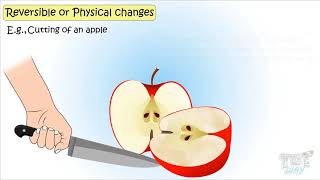 Physical and Chemical Changes Chemistry For Kids  TutWay [upl. by Annovy488]