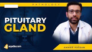 Pituitary Gland  1 Hypopituitarism  Medical Pathology  Video Lecture  VLearning [upl. by Kuth]