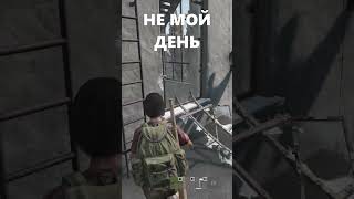 Береговые разборки  DayZ dayz shorts дейз [upl. by Elatsyrc651]