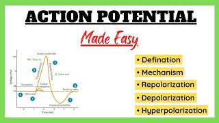 Action Potential Depolarization Repolarization Refractory Period Physiology Made Easy [upl. by Carlile586]