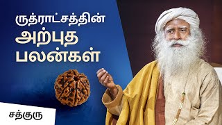 ருத்ராட்சத்தின் 6 அற்புத பலன்கள்  6 Amazing Benefits Of Rudraksh  Sadhguru Tamil [upl. by Norehc]