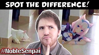 CAN YOU SPOT THE DIFFERENCE  Ask Noble Senpai [upl. by Goldarina]