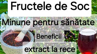 Fructele de Soc  beneficiile uimitoare pentru sanatate Suc din fructe de soc  rețetă [upl. by Akanke]