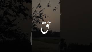 Maine toh bas teri chahat mein 🖤🙌• Aesthetic video • Urdu Lyrics status •shortsrahatfatehalikhan [upl. by Nol]