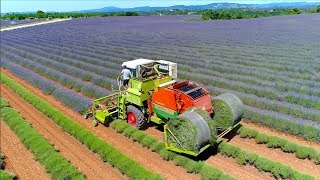 Lavender harvest in round bales  Valensole France  Unique self propelled harvester [upl. by Name486]