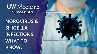 What to know about norovirus Shigella outbreaks [upl. by Sane366]