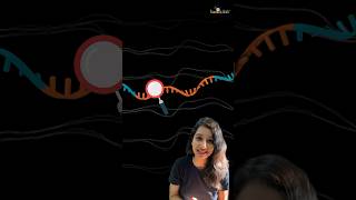 21st and 22nd Amino Acid  Molecular Biology csirnet neet neetbiology neetexam gate cuet gatb [upl. by Nalahs762]