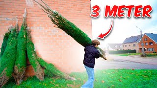 3 METER LANGE KERSTBOOM OPHALEN 🎄 232 [upl. by Nett]