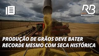 CONAB prevê uma produção recorde de grãos na próxima safra  Pulo do Gato [upl. by Elleivap670]