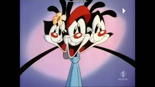 animaniacs intro endings season 35 italian [upl. by Arlina]