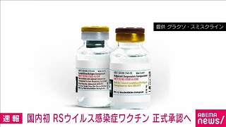 【速報】国内初 RSウイルス感染症のワクチンが正式承認へ 厚労省2023年8月28日 [upl. by Lingwood]