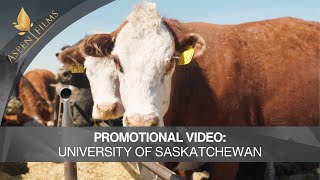 University of Saskatchewan  Promotional Video  Cowbytes Program [upl. by Arramahs]