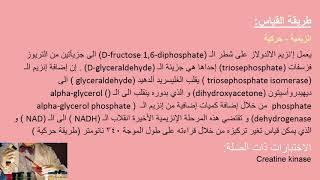 تحليل ألدولاز Aldolase Test [upl. by Maye]