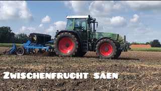 Zwischenfrucht säen 2022  mit Fendt und 3m Grubber [upl. by Eimrots]