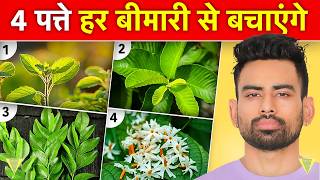 ये पत्ते आपको सैकड़ो बीमारियों से बचाएंगे  Most Effective Leaves For Good health  Fit Tuber Hindi [upl. by Esyli]