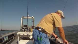 MAYPORT JETTY FISHING JACKSONVILLE After 4 days of rain [upl. by Asaert610]