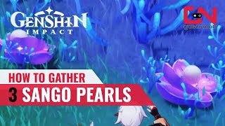 Gather 3 Sango Pearls Genshin Impact  Sango Pearl LOCATIONS for Trillion Trinket Trawl [upl. by Philine]