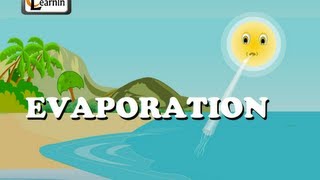 Evaporation  Elementary Science [upl. by Valenta]