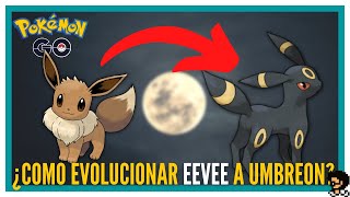 ¿COMO EVOLUCIONAR A EEVEE EN UMBREON 🐱🌑 Pokémon GO shorts [upl. by Harad631]