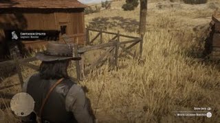 Red Dead Redemption 2 Leghorn Rooster [upl. by Laud]