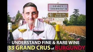 What makes the 33 Grand Crus of Burgundy Unique  Best Bourgogne Wines Explained [upl. by Esyak880]