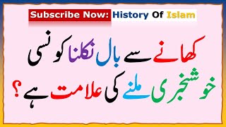 387 Islamic Common Sense Paheliyan in UrduHindi  Dilchasp Islami Maloomat  General Knowledge [upl. by Yehsa]