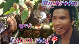 Mushroom hunting  Kukurmutta  Lolum Vlog😂 Exploring the jungle  Mariyang [upl. by Tterrag]