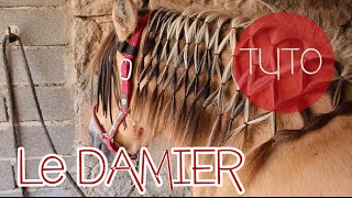 LE DAMIER  coiffure pour son cheval  TUTO [upl. by Yantruoc]