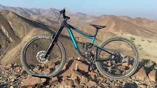 Bike Check and Review Giant Reign SX 2022 model [upl. by Yhtamit]