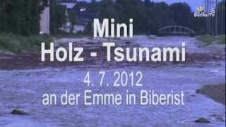 Hochwasser Emme Juli 2012 [upl. by Annahavas995]