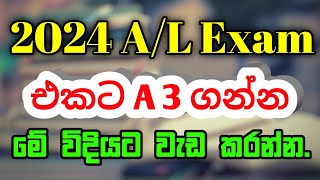 Sinhala Study Tips  How to pass 2024 AL exam with 3 As  Best Study Plan for AL Exam [upl. by Gusella536]