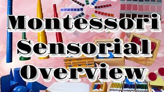 What is Montessori Method of Teaching  Early Years Classroom Activities [upl. by Lew]