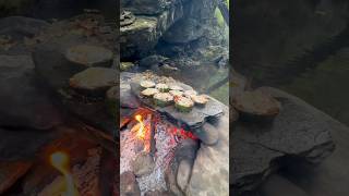 Doğal Taş Üstünde Kabak Halka kebabı  Cooking zucchini ring kebab on natural stone 🥩 [upl. by Airamasor]