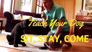 Teach Your Dog To Sit and Stay [upl. by Weismann]