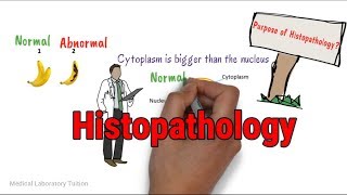 Histopathology  Tissue Processing  Tissue processing in histopathology laboratory [upl. by Dallas]