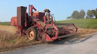 1950 Massey Harris Super 26 Combine [upl. by Medorra]